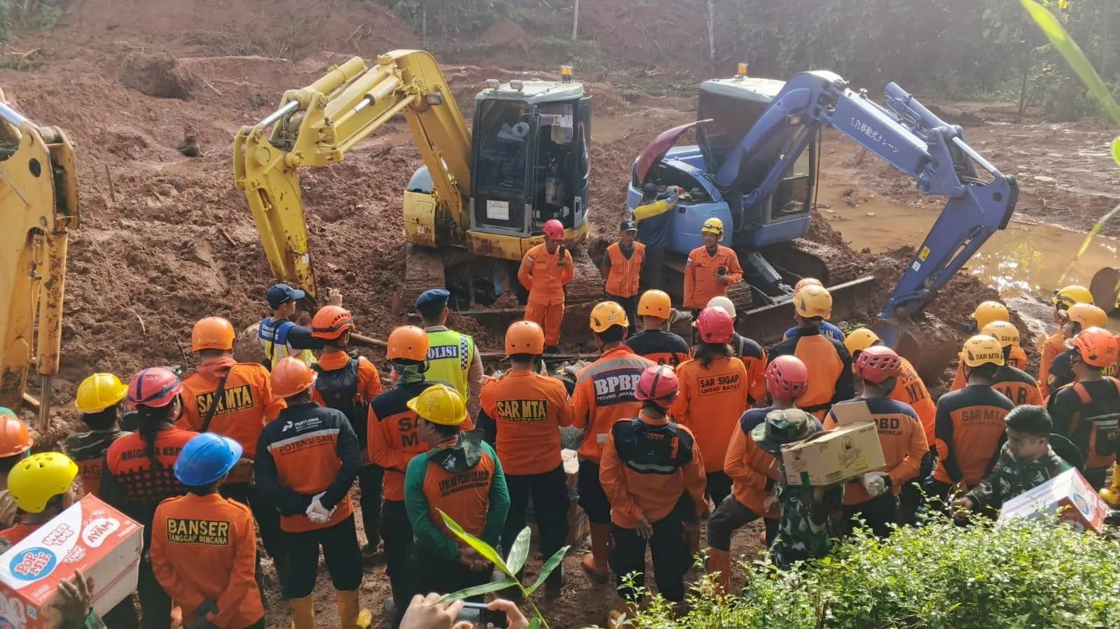 Pemprov Jabar Siapkan Moratorium Penebangan Hutan